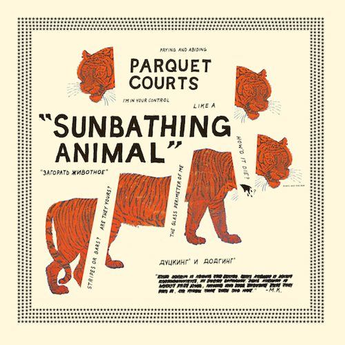 sunbathing animal-parquet courts