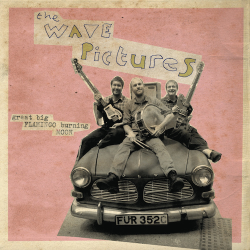 the wave pictures great big flamingo burning
