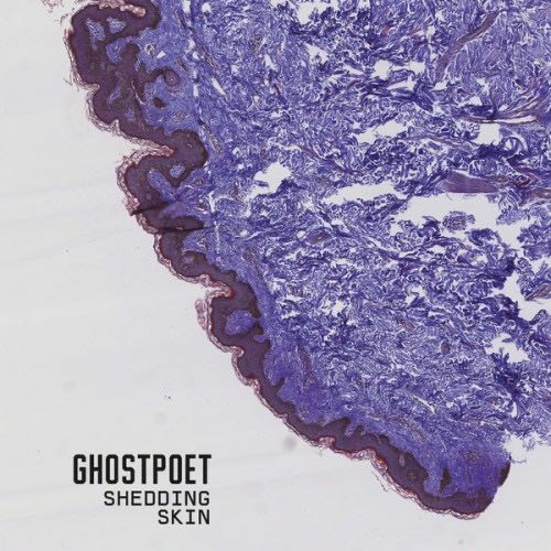 Ghostpoet-Shedding-Skin