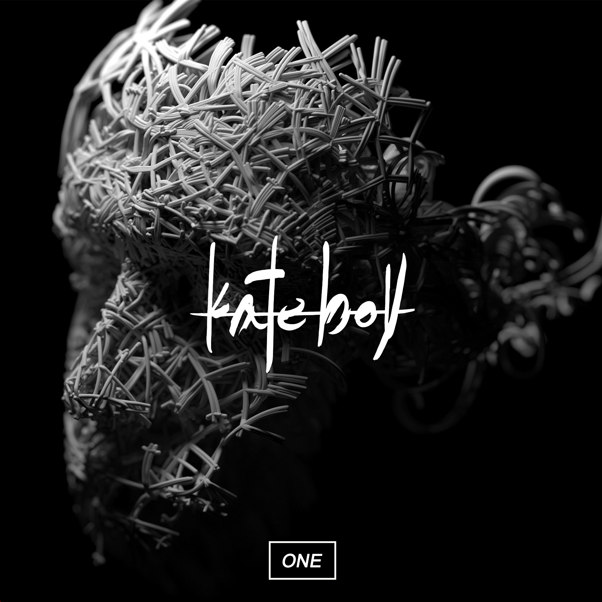 Portada del primer álbum de los Kate Boy