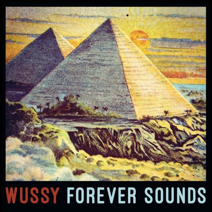 Portada del nuevo disco de los Wussy, Forever Sounds