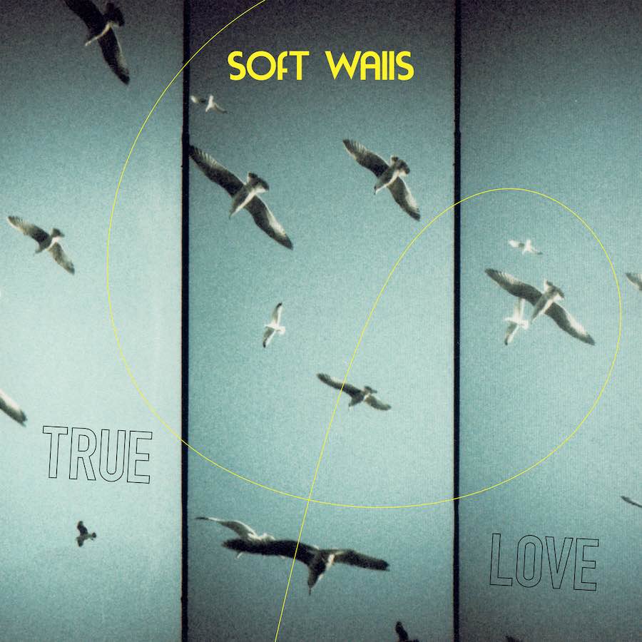 Portada del nuevo trabajo de Soft Walls, True Love.
Publicado el 5 de mayo de 2023.